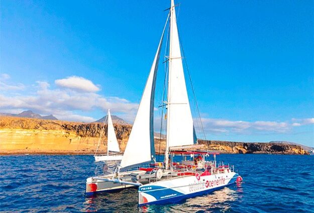 6687b16ea3b0947f3b7d231c_white-tenerife-adeje