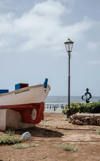 Observation des baleines à La Gomera (Valle Gran Rey)