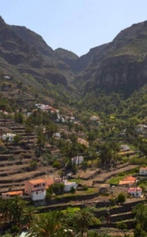 Whale and Dolphin Watching la gomera