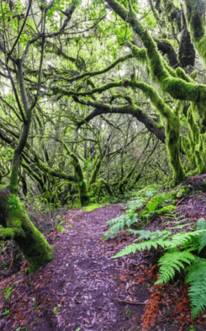 hiking la llanía el hierro