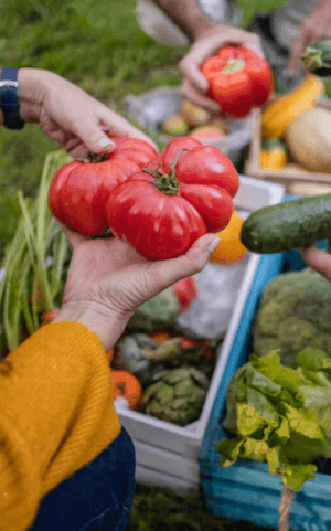 Gastronomic Experience in Ronda