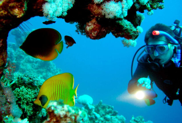 Bautismo buceo Gran Canaria