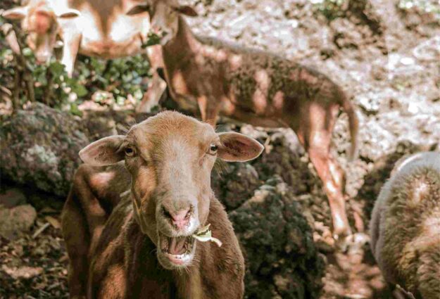 626697a65aa5b7755f151023_250261942_6658706680821277_77467