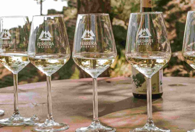 626697d83b65f086449c1e0b_277813397_7542412609117342_46789