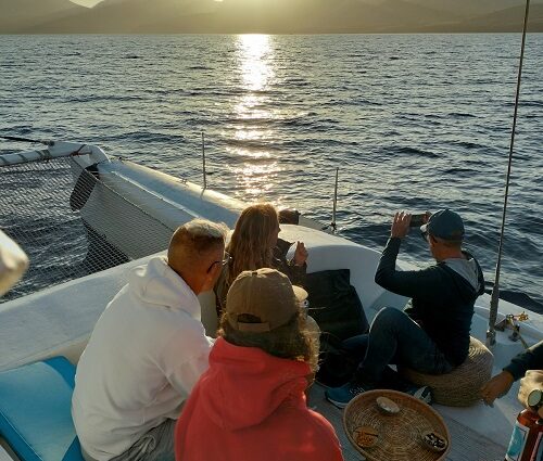 Wal- und Delfinbeobachtung auf Lanzarote