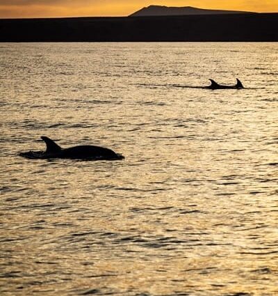 64c90c703bb4c950abeb59e3_atardecer lanzarote