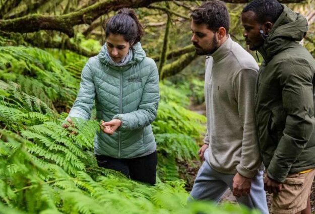 Senderismo por Anaga