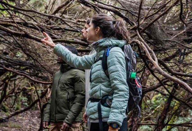 Senderismo por Anaga