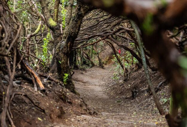 Senderismo por Anaga