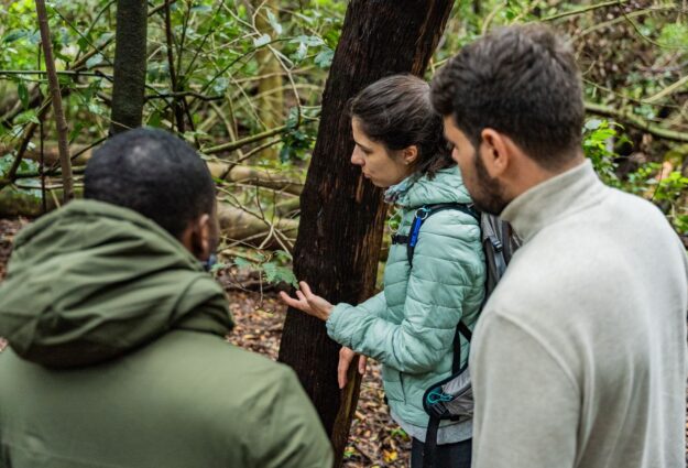 667d22855b3c9f28de38ce69_b100b7f2-e9a4-4c21-b94e-fb290ae16905