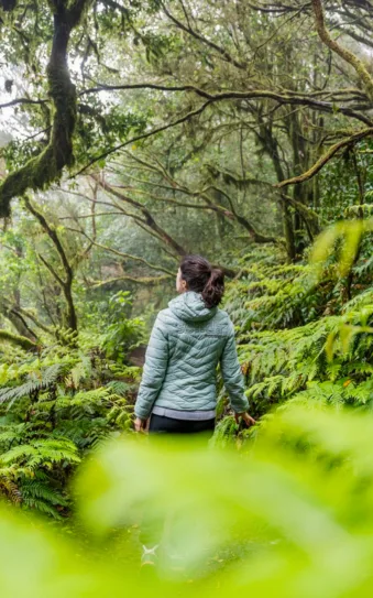 Senderismo por Anaga