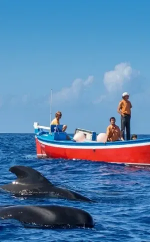 Walbeobachtung in La Gomera (Playa Santiago)