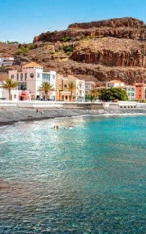 Whale and dolphin watching in La Gomera