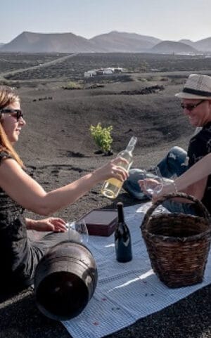 Cata de vino en bodega erupción