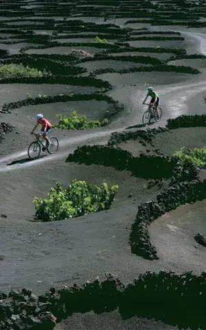 Fahrradtour zwischen Weinbergen und Vulkanen auf Lanzarote