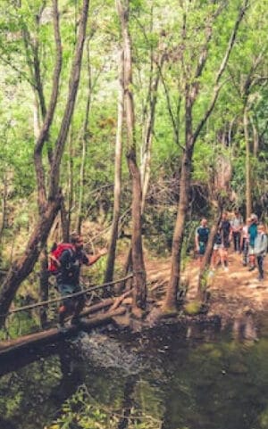 The Rainforest Tour Gran Canaria