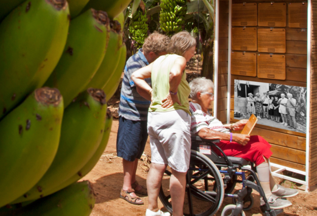 Visita plantaci&oacute;n de pl&aacute;tanos de Canarias (2)