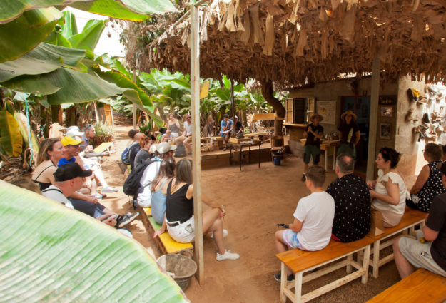 Visita plantaci&oacute;n de pl&aacute;tanos de Canarias (3)