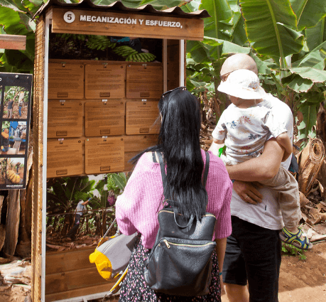 Visita plantaci&oacute;n de pl&aacute;tanos de Canarias (3)