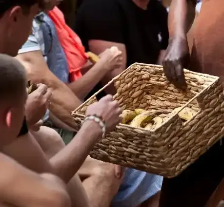 Visite d'une bananeraie aux Canaries