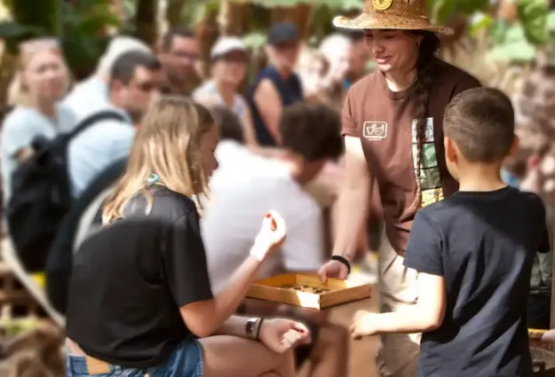 Visite d'une bananeraie aux Canaries