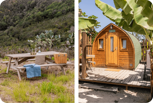 frequently-asked-questions-home-path-01 (1)