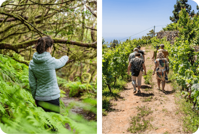 frequently-asked-questions-home-path-01 (2)