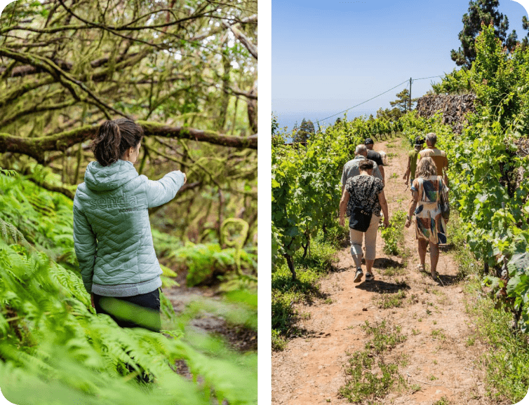 frequently-asked-questions-home-path-01-min