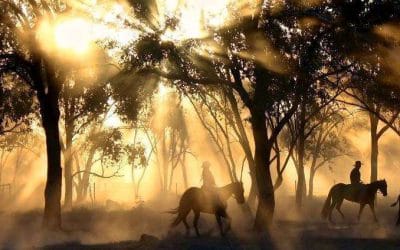 Montar a caballo es bueno para la salud