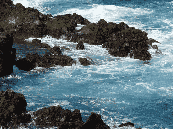 tenerife reef