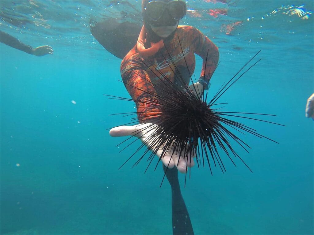 7 actividades diferentes que ver en Tenerife