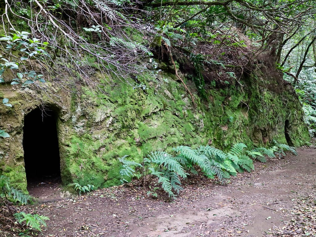 El Bosque Encantado y Reserva del Pijaral, sendero de cuento en Anaga