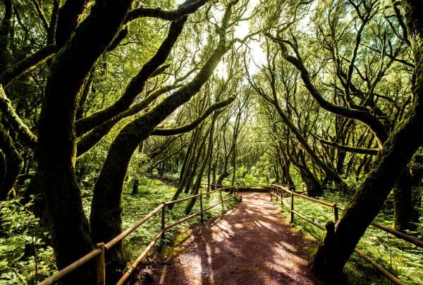 What to do in La Gomera