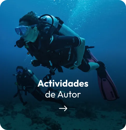 actividades-de-autor