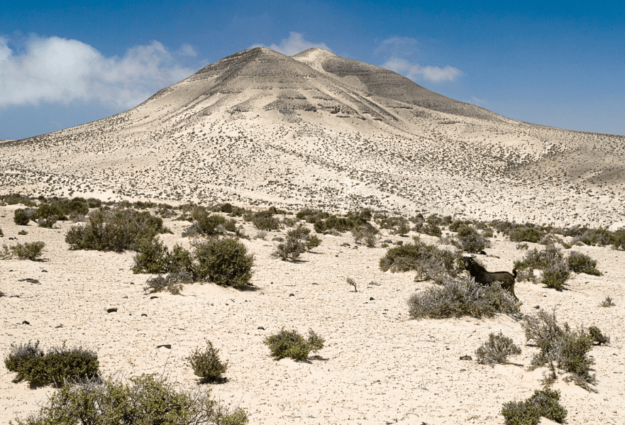 JANDIA TRAIL