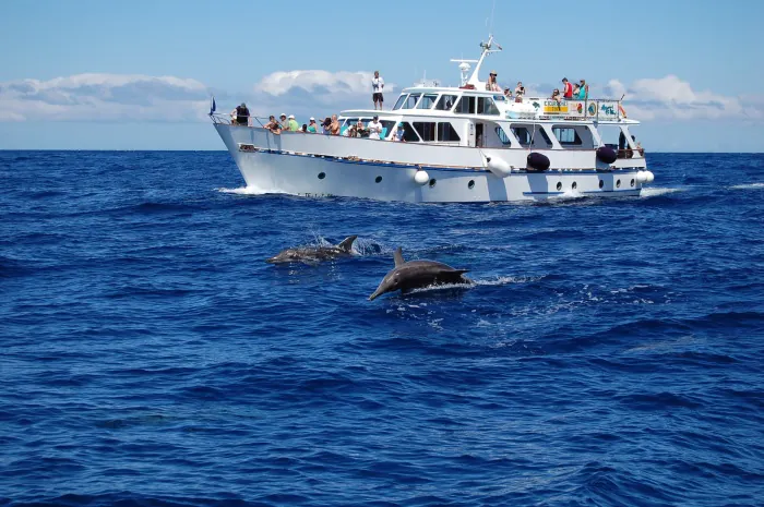 Barco en La Gomera