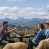 Actividad Gastronómica de Aceite en Ronda