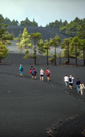 Hiking in La Palma