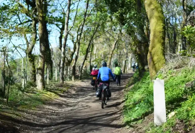 tres ciclistas yendo en bici por el bosque