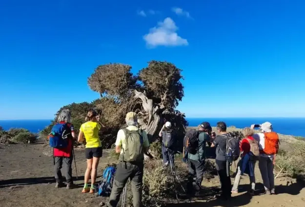 El Sabinar de El Hierro
