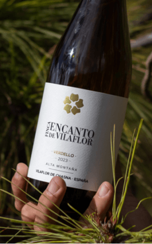 Cata con Encanto en Vilaflor | Festival Cálida Tenerife
